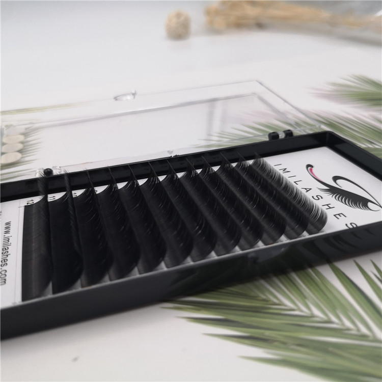 Wholesale cluster ellipse flat eyelashes for lash bar-V